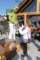 img_3353copy_small.jpg