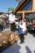 img_3398copy_small.jpg