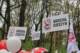 img_4262_small.jpg